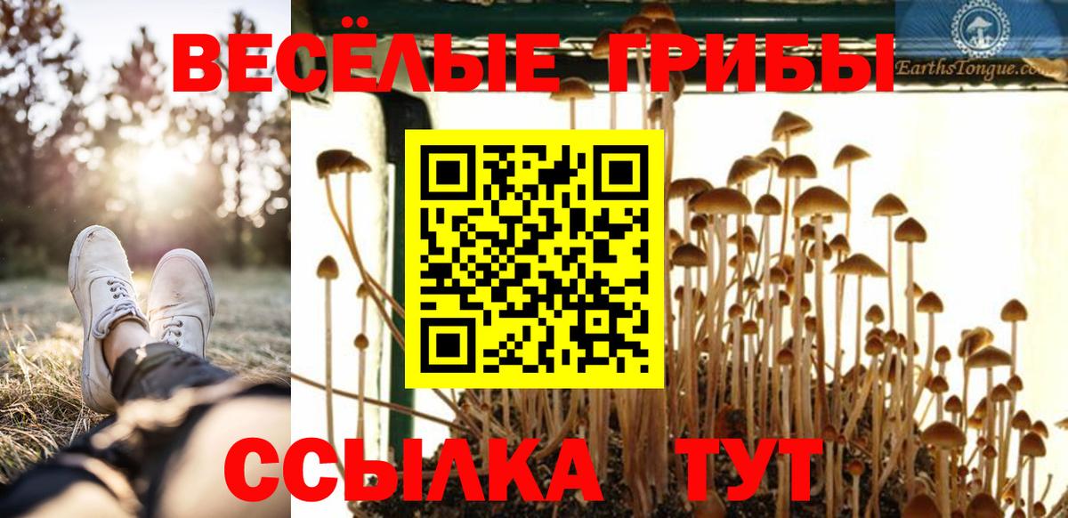 Псилоцибиновые грибы Magic Shrooms Ишим